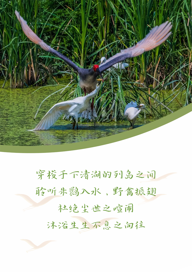 心心念廿 相伴尊龙时凯 | 与德清相约 贺廿载诞辰